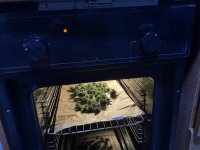 IMG_0166.jpeg
