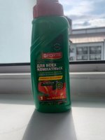 IMG_6666.jpeg