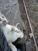 IMG_20250828_064155.jpg
