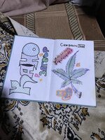 IMG_0929.jpeg