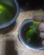 IMG_1909.jpeg