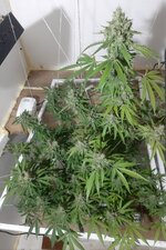 20260213_060619.jpg