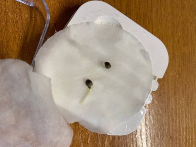 6c68ac7b-c68d-4808-97ef-61d320fa0d46.jpg