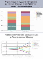 IMG_0434.jpeg