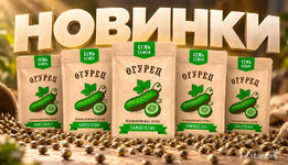 7ch-5-auto__dJ8F58eVADTfLChP.jpg