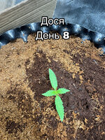 BC2A3F3C-E8E8-4F85-AF5C-B259B36EB03F.jpeg