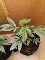 13992.jpg