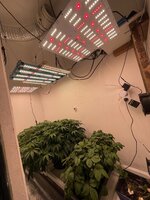 IMG_5569.jpeg