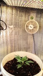 IMG_20261018_122148_330.jpg
