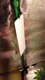 1000135641.jpg