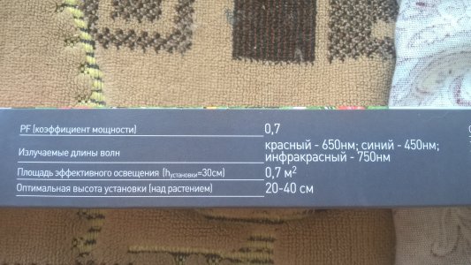 WP_20220708_12_42_00_Pro.jpg