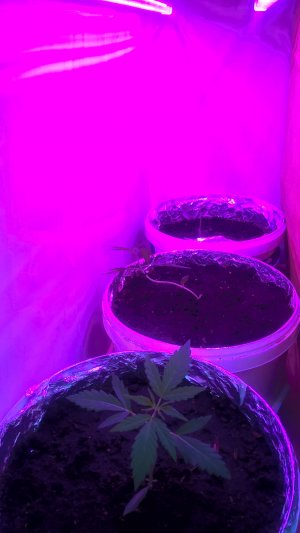 WP_20220708_12_40_23_Pro.jpg