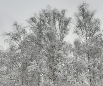 20221108_090040.jpg