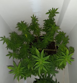 20221202_124906.jpg