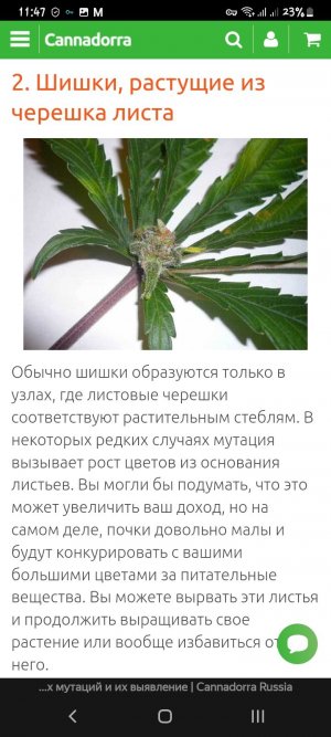 Screenshot_20221211-114753_Browser.jpg