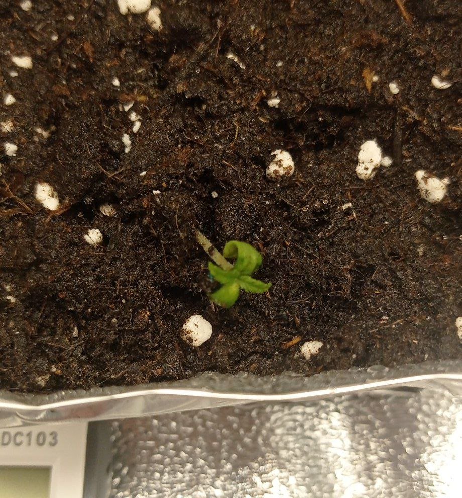 IMG_20230126_002653_731.jpg