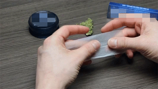 1.gif