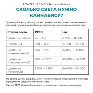 46687f3477739b325e8fb.jpg