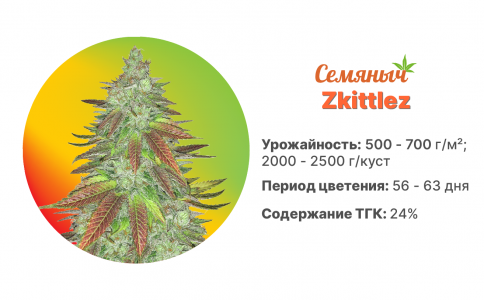 Zkittles Zkittles