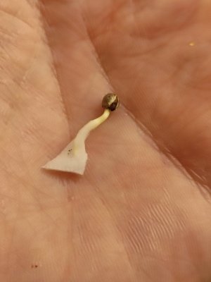 cleaned_IMG20240209132011.jpg